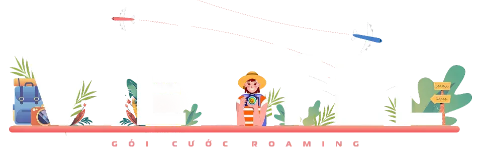 roaming-viettel